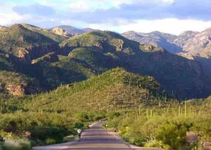 Estate, And Guesthouse, 2 Pools, 7 Bedroom 5 Ba Holiday home Tucson